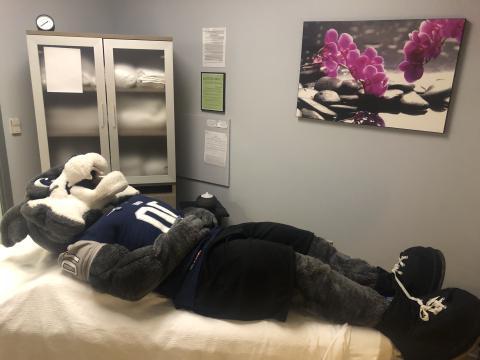 Wild E mascot on massage table